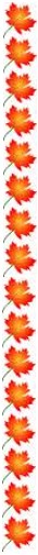 Fall Leaf Border Border